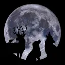 Marauders Full Moon Fest