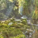 La Forêt des Merveilles 🩵🩷🤍🩷🩵