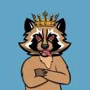 BAD RACCOON NFT