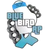 BlueBirdRP Crews