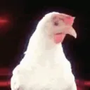 Chicken Warlords