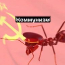 ImperialAntColony Server Icon