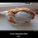 FSS (ARCHIVE)
