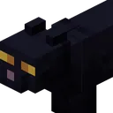 LR64's basement