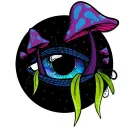 BlueEyedMushie's Photography - HBAR NFTs