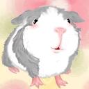 Guinea Pig Advice Discord Server Icon
