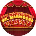 The Magnificent Mr. Marwood's Circus Discord Server Icon