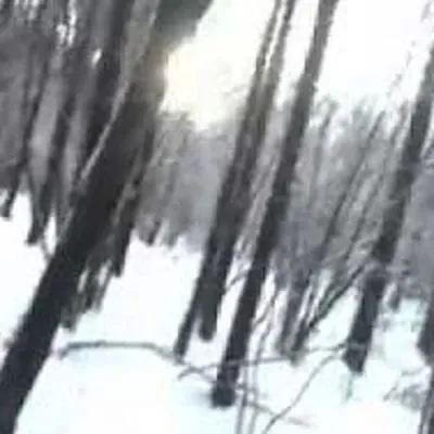 ♡ stay wiith me ;꒱ — мониторинг Discord сервера, статистика и рейтинг