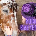 Road To BreyerFest Discord Server Icon