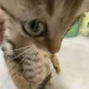 The Basement  Discord Server Icon