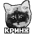 Вечные Дети
