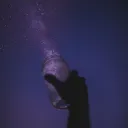 Act As If Shifting