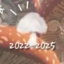 🍄 ݁ ˖ Goodbye Mushrooms ..