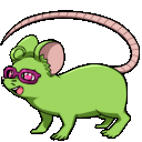 The Rat Nest