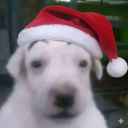 Discovery icon for Chafablox Discord server