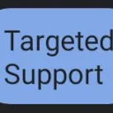 30+ Targeted Individuals Support