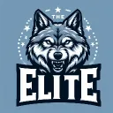 THE ELITE's icon
