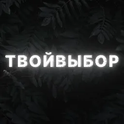 ТВОЙ ВЫБОР РОЗЫГРЫШ НОЖА — мониторинг Discord сервера, статистика и рейтинг