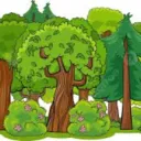 0akling's Forest