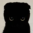 Blackout scp sl