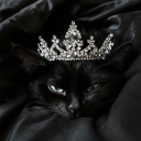 Catpuccino ᗢ Discord server icon