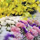 ~| Canaan Memorial Funeral Home Service's