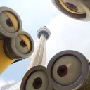 make friends