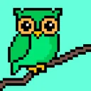 HUNTING OWLS | DISCORD
