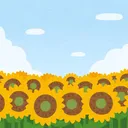 概念的夏