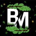 BlutigerMond avatar