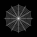 The Spiderweb