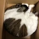 期間限定　そぼのへや