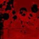 bloodwash Discord Server Icon