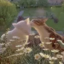 Little Gay Forest's icon