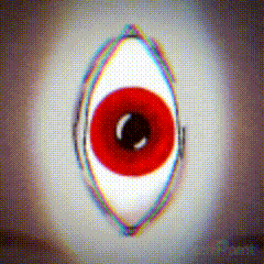 Discovery icon for Broogli Bunch Discord server