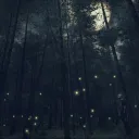 Nofap community!!