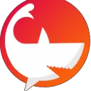🦈 NFTFeed 🦈 Discord server icon