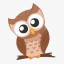 Owl Family