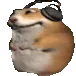 Dreesscot_community