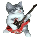 Silly Gato!‹𝟹 Discord Server Icon