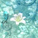 ˚˖𓍢ִ໋❀ 𝙏𝙚𝙢𝙥𝙚𝙨𝙩 𝙄𝙨𝙡𝙖𝙣𝙙 𓈒