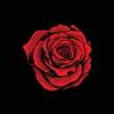 🥀ꗥ～ꗥ🌹 𝐯𝐞𝐢𝐥 🌹ꗥ～ꗥ🥀