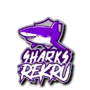 SHARKS Rekru VOTE Only