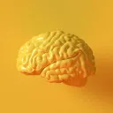 Enloe Neuroscience Club