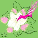 ADR52 club [archive]