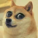 Dogegirl server