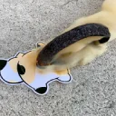 ギシギシＶａｌｏｒａｎｔ部