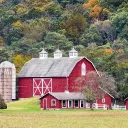 The Cow Farm V2 discord icon