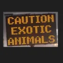 Pets & Exotics