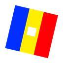 Roblox Romania Community Discord Server Icon